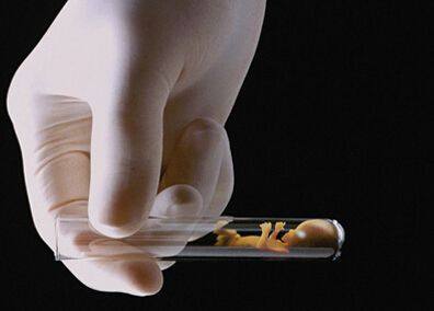林主任